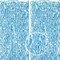Light Blue Wave Party Backdrop Decoration -Foil Fringe Curtain Blue Party Streamers for Under The Sea/Ocean/Frozen/Pool/Beach Theme Party Decorations -2 Packs